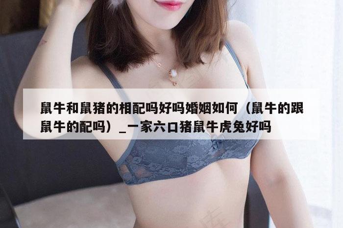 鼠牛和鼠猪的相配吗好吗婚姻如何（鼠牛的跟鼠牛的配吗）_新澳门六开彩资料大全网址